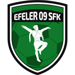 Efeler 09 Spor Logo