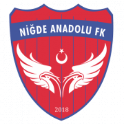 Niğde Anadolu Logo