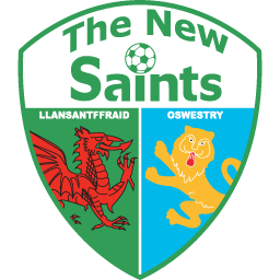 The New Saints Logo
