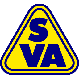 Delmenhorst Logo