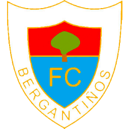 Bergantiños Logo