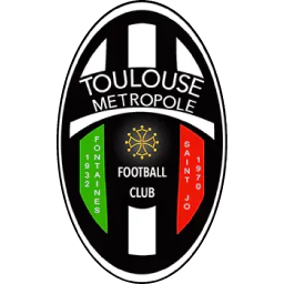 Toulouse Métropole Logo